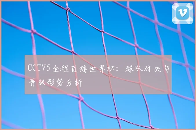 CCTV5全程直播世界杯：球队对决与晋级形势分析